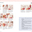 A-Z of Embroidery Stitches: A Complete Manual for the Beginner Through to the Advanced Embroiderer (A-Z of Needlecraft)