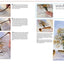 Ready to Paint in 30 Minutes: Trees & Woodlands in Watercolour