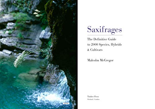 Saxifrages: The Definitive Guide to 2000 Species, Hybrids & Cultivars