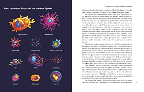 Immune: A Journey into the Mysterious System That Keeps You