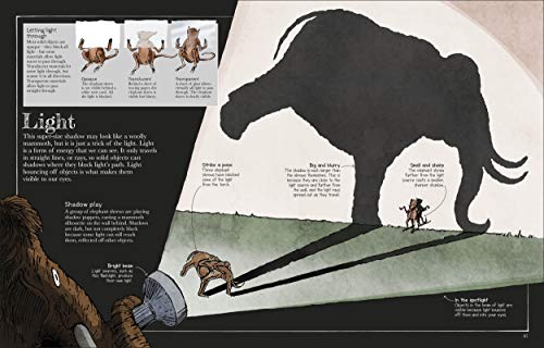 Mammoth Science: The Big Ideas That Explain Our World (DK)