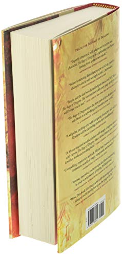 The Fires of Vengeance (The Burning, 2) by Evan Winter