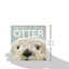 It's Nice to Be an Otter