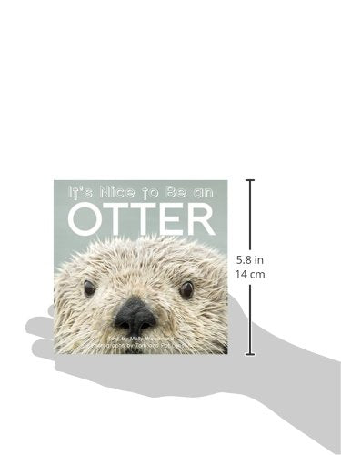 It's Nice to Be an Otter