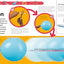 How to Be an Engineer (Careers for Kids)