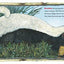 Honey... Honey... Lion! A Story from Africa (Rise and Shine)