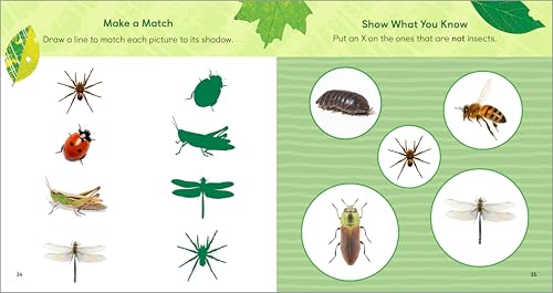 The Backyard Bug Book for Kids: Storybook, Insect Facts, and Activities (Little Scientists Learn)