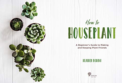 How to Houseplant: A Beginners Guide to Making and Keeping Plant Friends