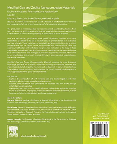 Modified Clay and Zeolite Nanocomposite Materials: Environmental and Pharmaceutical Applications (Micro and Nano Technologies)
