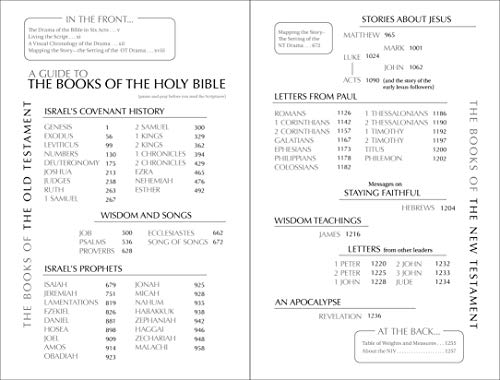NIV, Holy Bible, Larger Print, Paperback