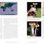 Psilocybin Mushrooms in Their Natural Habitats: A Guide to the History, Identification, and Use of Psychoactive Fungi