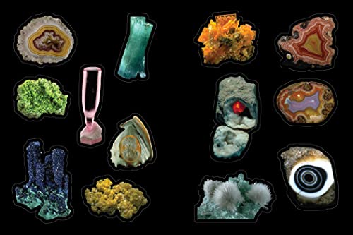 Cabinet of Curiosities: Over 1,000 Curated Stickers from the Fascinating Collections of the Smithsonian (Smithsonian Sticker Books)