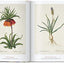 Redouté. Book of Flowers - 40 Years