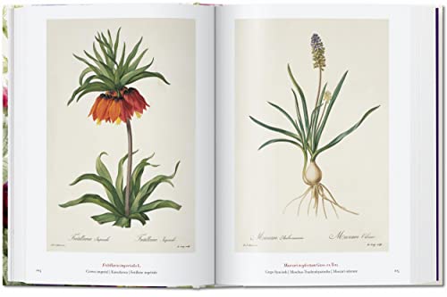 Redouté. Book of Flowers - 40 Years