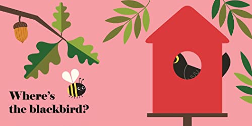 Where's the Puffin?: (An Interactive, Sensory Lift-the-Flap Book with Felt Flaps and a Mirror for Babies & Toddlers. Friendly Birds Include a Kingfisher, Blackbird, & Swan.)
