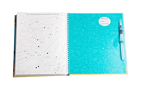 Magical Water Painting: Under the Sea: (Art Activity Book, Books for Family Travel, Kids' Coloring Books, Magic Color and Fade) (iSeek)