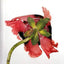 Flowers by Irving Penn (Hardcover)