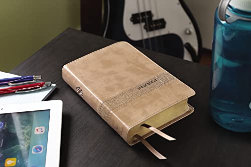 NIV, Teen Study Bible (For Life Issues You Face Every Day), Compact, Leathersoft, Brown, Comfort Print