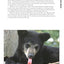 Bear: The Ultimate Artist's Reference (Fox Chapel Publishing) A Comprehensive Collection of 100 Sketches, 150 Photographs, and Reference Material for All North American Bear Species