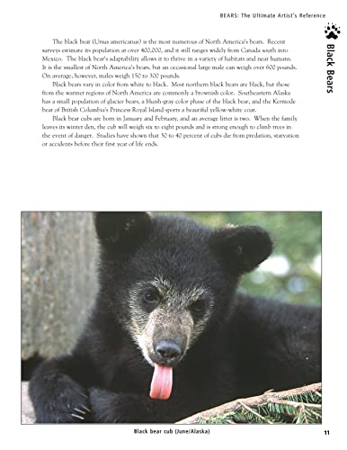 Bear: The Ultimate Artist's Reference (Fox Chapel Publishing) A Comprehensive Collection of 100 Sketches, 150 Photographs, and Reference Material for All North American Bear Species
