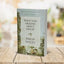 What's So Amazing About Grace? Revised and Updated: The Key to Transforming a Broken World