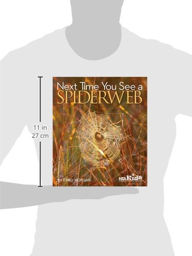 Next Time You See a Spiderweb