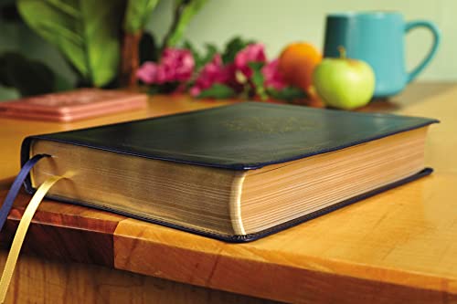 NIV, Radiant Virtues Bible: A Beautiful Word Collection, Lea