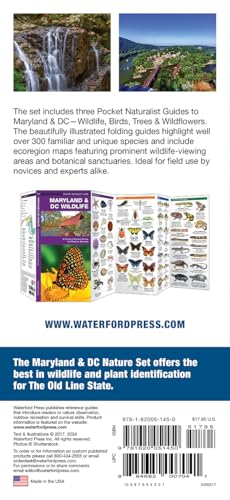 Maryland & DC Nature Set: Field Guides to Wildlife, Birds, Trees & Wildflowers of Maryland & DC (Florida) (Nature Observation North America, Florida)