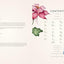 The Complete Language of Flowers: A Definitive and Illustrated History (Volume 3) (Complete Illustrated Encyclopedia, 3)