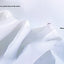 A Polar Bear in the Snow