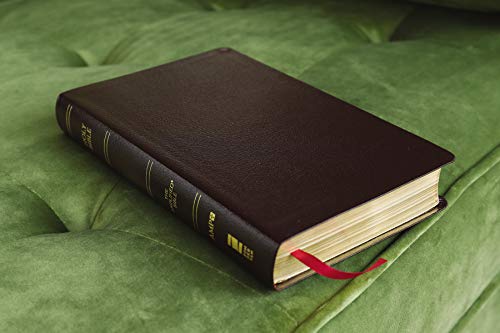 Amplified Holy Bible, Bonded Leather, Burgundy, Thumb Indexed: Captures the Full Meaning Behind the Original Greek and Hebrew