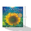 A Good Day: A Gift of Gratitude