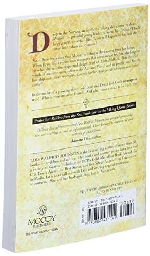 The Invisible Friend (Volume 3) (Viking Quest Series)