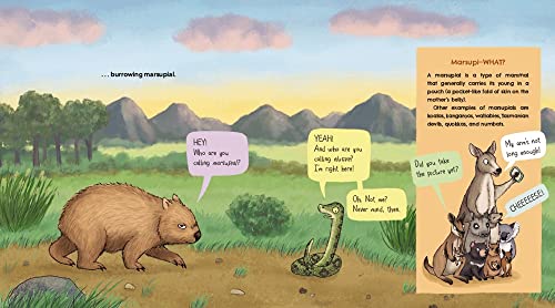 Wombats Are Pretty Weird: A (Not So) Serious Guide