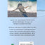Florida's Living Beaches: A Guide for the Curious Beachcomber