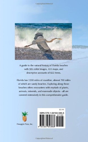 Florida's Living Beaches: A Guide for the Curious Beachcomber