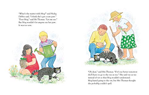 Mog and the V.E.T. (Mog the Cat Books)