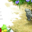 Memoirs of a Tortoise