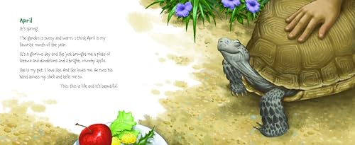Memoirs of a Tortoise
