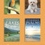 Picture Book of Kittens: Picture Book of Kittens: For Seniors with Dementia [Cute Picture Books] (Picture Books of Animals for People with Dimentia)