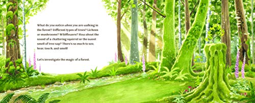 Forest Magic: A Guidebook for Little Woodland Explorers (Little Explorers Series)