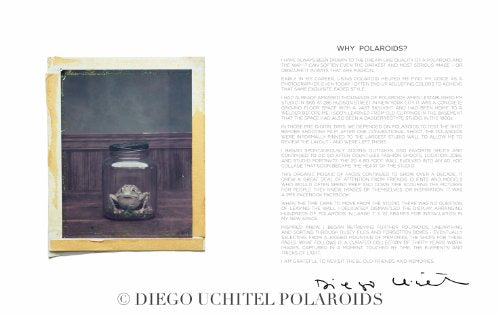 Diego Uchitel: Polaroids