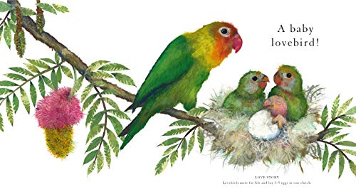 Who Is in the Egg? (Nature Revealed!)