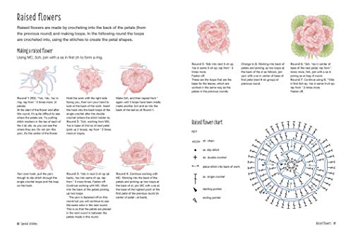 Crochet Know-How: Techniques and tips for all levels of skill from beginner to advanced (1) (Craft Know-How)