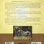 Healing Power of Horses: Lessons from the Lakota Indians