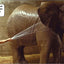 I Want to Be a Zookeeper