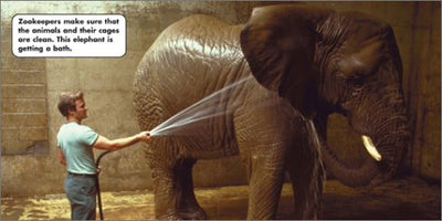 I Want to Be a Zookeeper