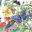 Pop-Up Peekaboo! Butterfly