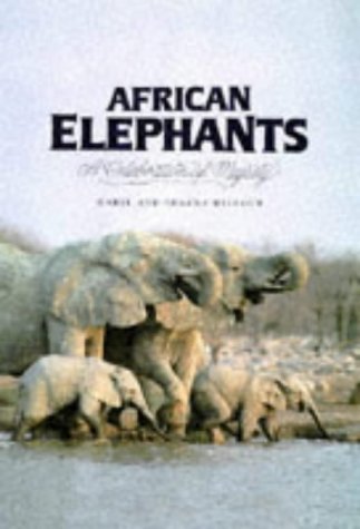 African elephants: A celebration of majesty