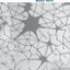Going Trans-European: Planning and Financing Transport Networks for Europe
